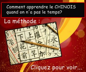 Parlez chinois en un an par l'auteur Cédric Beau et sa méthode pour apprendre le chinois